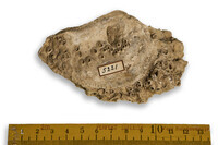 F 05221
<br/>
<br/>
<em></em>